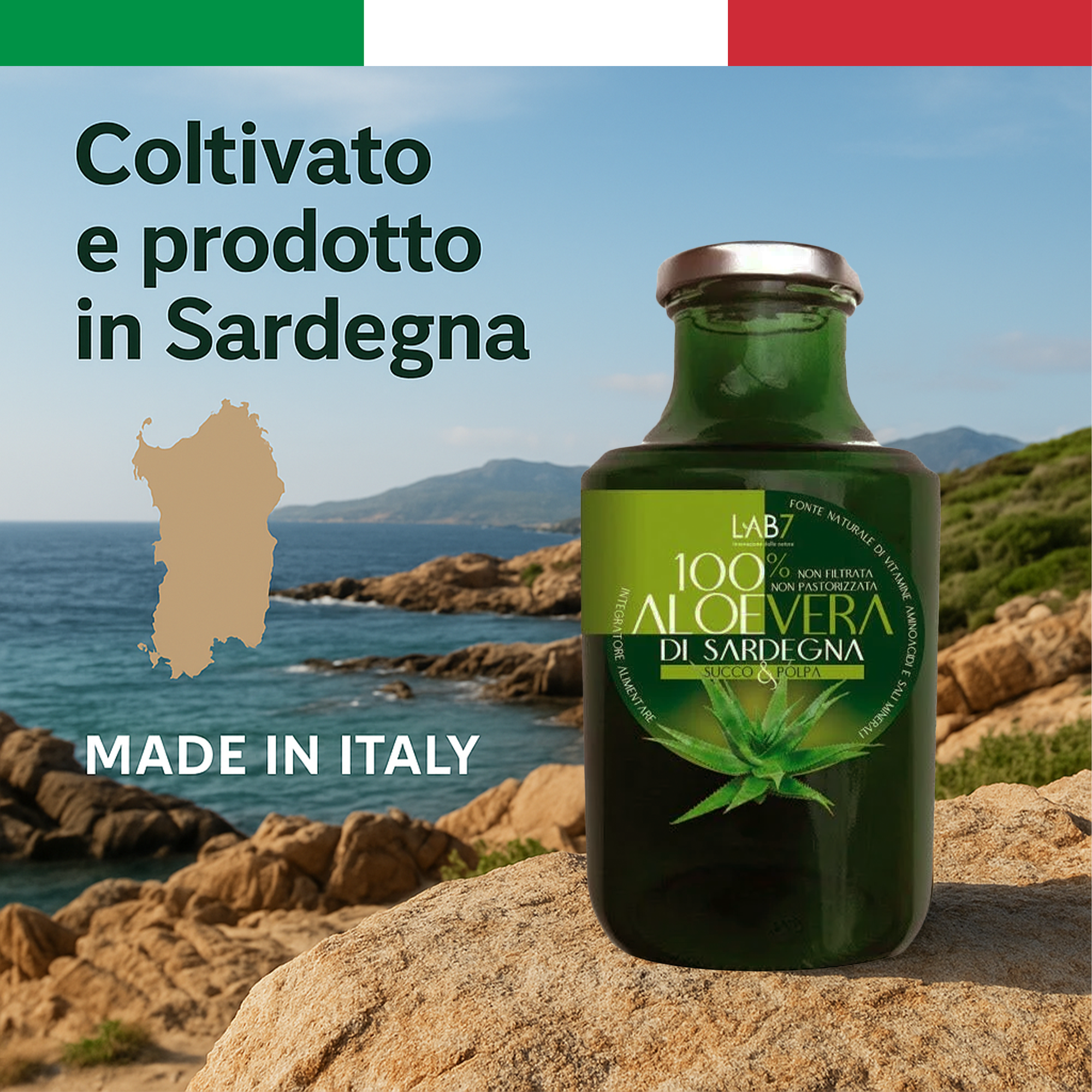 succo di aloe vera - aloe vera - succo di aloe - succo biologico - succo per il reflusso - rimedio naturale - succo di aloe arborescens